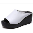 ffffffffffffffffff81fff0ffe0dfc08f8007008001800f807fffffffffffff