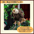 0000583f50414841616163a141f160015001503160014041604343e341fb7fff0101010101365303012b0e0101ab5d49