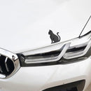 ffffffffffffffffffffffffff9effdfffb4ff91300000030fff1ffffff00000a2a2ab00a2a2ababa2a22bb332ebab00