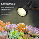 000000000800280058e002e004e007201aa0c0107ef0bffcff7f4f4ffdebfbb99c9c9c9c9c332b2b2b2b2b2f0c165506