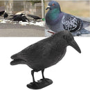 001e201f6e0f0007cd000000dcc0ff03fc03f00dc00fc01ffc7ffdfffd7ff87f1c121a1b1b1c33a00000eb0000006b00