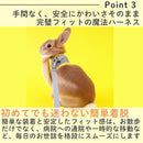 ffffffffffffe007e007e0071c00e807e607e6070200e007002081ffffffc9d7292929292b2929292b2a102a2b291a27