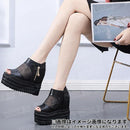 ffe8ffe0fff4ffefffc1fee1fdfaffffe3fdc3ff837fc77b4000000000000112a0a40eab9c9f0e9aa4ab0fa0ababa2ab