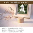 00000344ff81ff303f33070201027ffe0a7e37cf1fce1fff1ffffffffffff2ff17171717e9122227ce101210dafc0d13