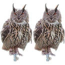 fffffffffdeff1e9e1e1e0e1c3c3c08180808080808081818183e7e7f7fff7ff0000000000fb00040013000e00050006