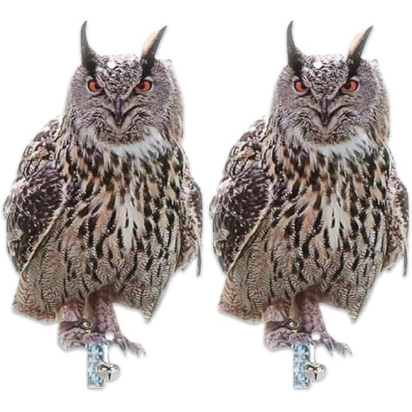 fffffffffdeff1e9e1e1e0e1c3c3c08180808080808081818183e7e7f7fff7ff0000000000fb00040013000e00050006