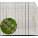 ffffffffffffcf43c009c401c001c001c009c001c001c001c001c005ffffffff00000000001b1e1200331e2400391b24