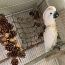 ffaff60f200de41c201c381d081f000f041fa81f949ecf3ec6fcc3d0c1e5a3f7