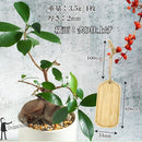 fffe8d1ee0af079789fe07ffeffaf9f9f9fefffaf93efb9ce04ee03fe117ffdb7b849093865e8993759c008932145a1c