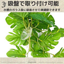 ff7fbf79ffffffffe003c003d003e005f210c104c001e001ff0bc12ec104ffff181c1a1c003e4c3f003a3b3e00003a2b