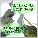 fffff7fff043fe0be0fbc3ff83bf073f033f033f871f8601fc0000000fc03fc0