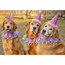 ffe8fff0cfcaf266afcca87c13da0edccac14a21673165ef4362e278c060b07d171a1b171a1e15c51ccf15141a151312