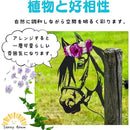 fffff287f487fffffffffe01ef01fe81fc01e801ec01b801f801e001e001b801000000000000000000009c3900802b30