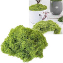 ffffffd8ff08ffb8ffddffeeffc1f880e00de00fc00fc00f801fc01ffc5fffff000000000000a4b3003535ab00373700