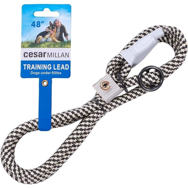 ffffffffe5ffe1f1e1e4e1d6e1d1f783f7cff63fe17fdeffddffdbffc7ffffff00000000001000a40095000000000000