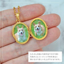 ffffffbff00f750ff011009801013041c440c801080100877007e2ffa3ff1ede8989878909120a05064e3b0605080989