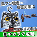 ffffa47fe57fffadfbffffffc1feead0a05fa8dfa87fb8fdf3ec407c000c0a2b9a9a9a9b9a9a9a9a98179f9897009580