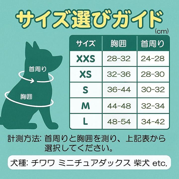 0000010209000000000000ed19ff21ff01fd41ff01ff01f9000000007fff7fff7b7c7a7c7b7b777a7c7989807c7a807e