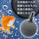 180018d2004e08002048704e4002fe0a7e1bfd73fc714ec5fd806dc11c413436989898a098979a809a169795179c969c