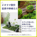 00007f0253047f0032027f003700370037000fff01ff667f40bf783f7fbf7eff2c2c2c2c2ca9343b2c3a143a2c3a2900