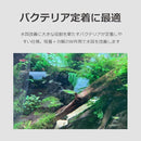 ffffffffedd3ffffeffbffffffffd301c001c061c001c001c001c081e101ffff0000000000eb00000089555a006efc7a