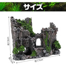 000003a00000ffffeeffe0ffe0fbe0c1f003f043d041f201f041f107f31fffff4b353b3d0000000000f544100042443a