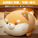 ffffffffffff0000000033fedfcedfecfff5fff5eef1fff8fff05fe0438000001c1c1c1c100f1514151a1a1716162512