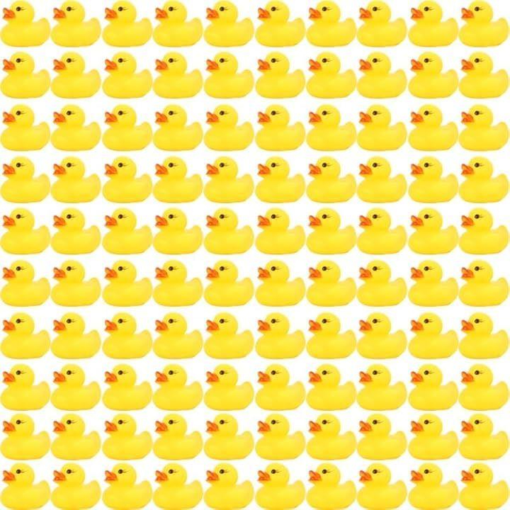 ffff8080929290908484d6f600809292ffff808096d680808282fefe80809292222b0026d524332400230026c0257525