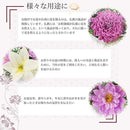 fffff73ffff0fd44fc60fff1cfffc7ff87bf87ffafffbff0dec0fff0fff9bffff5f5f5f5f50000e4f5290000f50000d8