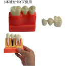 ffffcffff17fe07fe07fe071e061e07fffffc3ffc3ffc3ffc0fff07ff87ffc7f00000000001704000000000000050000