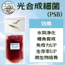 ffffde81ff019ff4fff4fb00ff18ffffffefc3ffc3cfdbefdbffc3bbc38de3ff908e8e9096009286409400429c970000