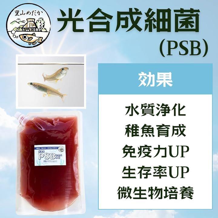 ffffde81ff019ff4fff4fb00ff18ffffffefc3ffc3cfdbefdbffc3bbc38de3ff908e8e9096009286409400429c970000