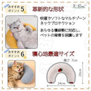 ffffbffaffbf850b8b7f81ff81cd81ff81ff9ffff7ffc9efc1e7c193c1b7c1ff0000000000bd000000f9000000150010