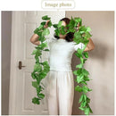 ffffffffbfca9e8cb507b50798f1bae0b3c0a1cfa1c7a0c781c781c5a147a14200001500001a4346001b8946001a1c3e