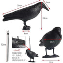 ffffff5ffe0ff03f803f88fffdfffcfdfff1dfe0c3c0c1c1c1f3de7fd221d9e10000000000b3b3000000000000ab00a0