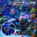 31fb3ffb43d91142068a06120460295af6d90c0c25cae0442c001bd1e480e642a69f559e9baab78936a0a3949c9ea47e