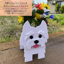 fff0ff70ffd4ff14400acc04d91e83f007f0535897f067b023f0b1f0f9b0c1800f0f152e32244a321f27ab241611da14