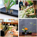 ffffe0a0fde4c78c83b284e480e6f8d0ffffff808080e480838082a0af809d80809c00002b98ab30ab22002b5e30339f