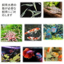 fffffc009c56d4a6bc00ffffffff82108780a210821fffff98708014a01c8010000000000000ab1c003d127800b3f626