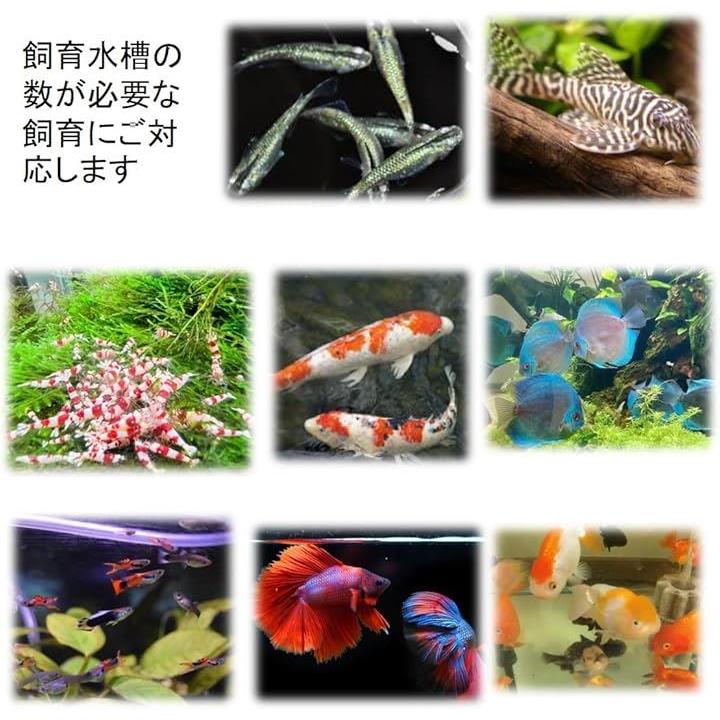 fffffc009c56d4a6bc00ffffffff82108780a210821fffff98708014a01c8010000000000000ab1c003d127800b3f626