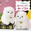 0000007f007f007f1e733f7f3f383f7c3f7cf9fe7fff7fff39ef017f01efe1edf59cf43cf50007f43720100b2114121e