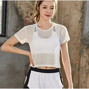 846280cc82ee80c681c687f49ff83ff863e87bf803e803e801e8020803e003f4