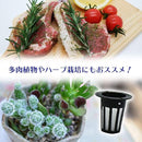 f67fe007c0038103810f810ffffffffffffff07b8001e021a06018638263c0ff