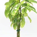 f0bfe8dfe3cddf2eefcc80f0e4309408082004e00420c180f380ff80ff80ff80