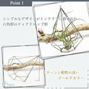 000002ffffebffe7ffdbffd4ffe3ff0afed5ffe3ffe7fd7f857fef7fff7ebf7f99999999808900008989002989123389