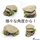 ffffffffe3f3c18381838381c781ffe7c007ffffc3c781c380c380c3c3c7fffb