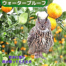 00072107eb8f3f7f8e322edc405e664d04f859380254905c8b04c8c64279d4953b40403c80613e1f403be10637390c18