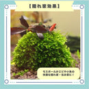 fffffc1fdfffc0ffc07fc01fd407c001d001c009c001c005c001c13bc3ffffffb3939393820d0b2082353d3082123c39