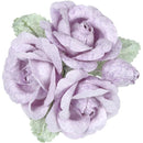 fffffe7ffeefe217e00ff111d251c081e425e101e037c023f007f21ff2fff9ff000000000040d5bc00c1ecc500d1d7b7