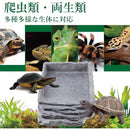 fffff65fffffffff7000103903003000f150fc1fe0bfc08ff89d98800ac1860000000000ab6c516c171fb2fc00009e2b